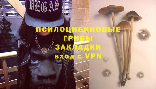 mdma Горнозаводск